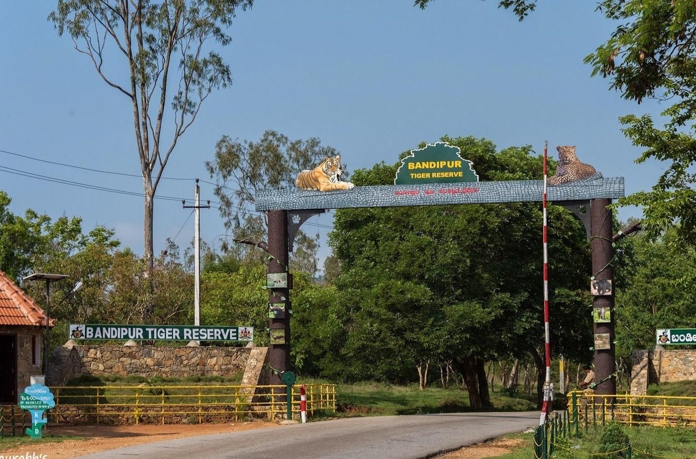 Discover the Beauty and Bounty of Bandipur
