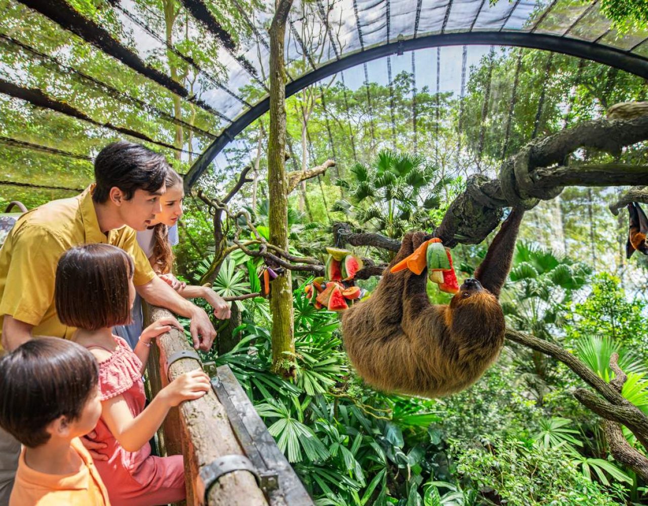 Singapore Zoo Helm Holidays