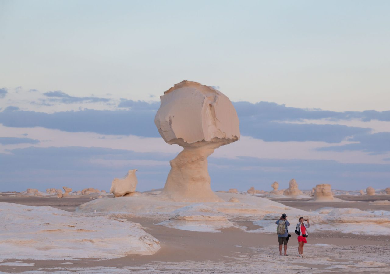 White Desert Dairo