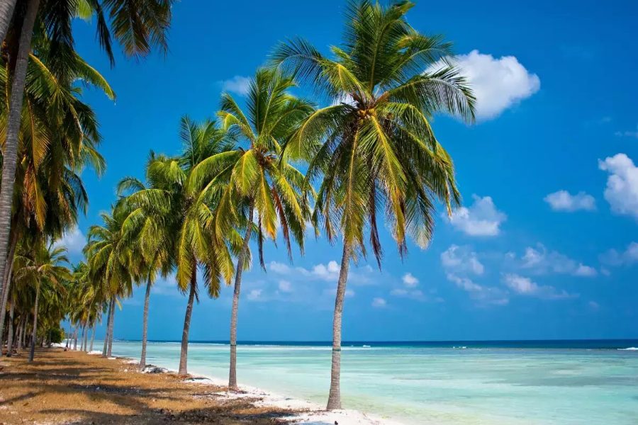 Agatti Island Tour Package