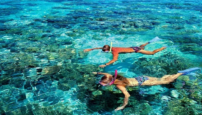 Top Snorkeling Spots in Bali : Explore the Underwater Paradise