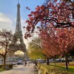 A Week in Paris: Perfect Itinerary Ideas for Your Dream Vacation