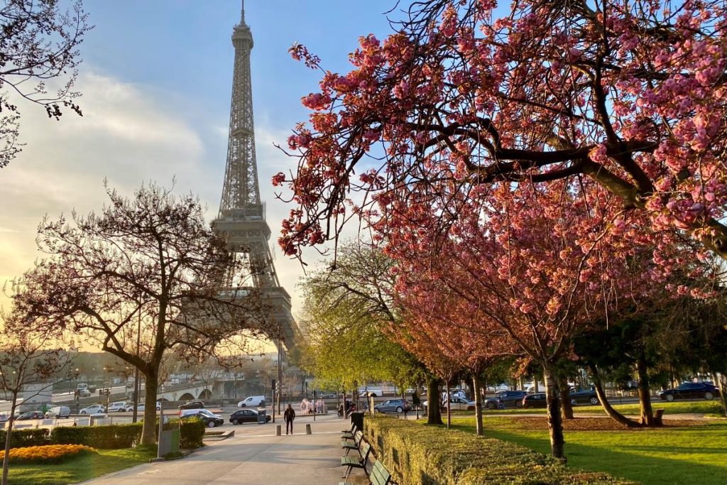 A Week in Paris: Perfect Itinerary Ideas for Your Dream Vacation