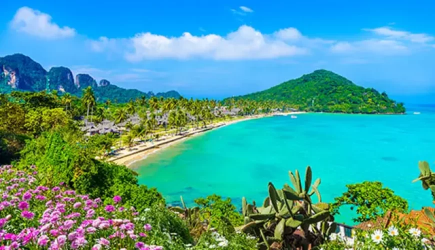 How to Plan the Perfect Domestic Trip in India | Travel Guide | Helm Holidays