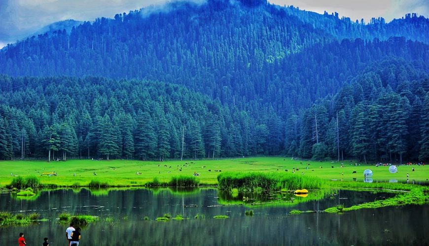 Best Nature Destinations in India | Top Places for Nature Lovers – Helm Holidays