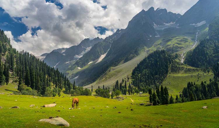 Best Places to Visit in India This Year | Top Travel Destinations for Every Traveler | Helm Holidays