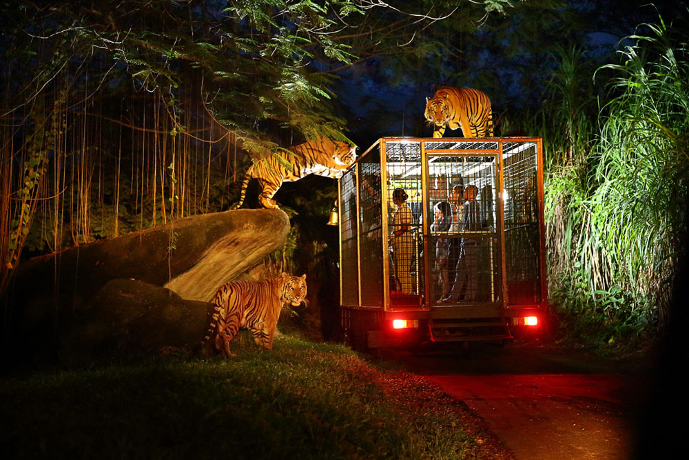 Day 1: Arrival in Singapore – Night Safari