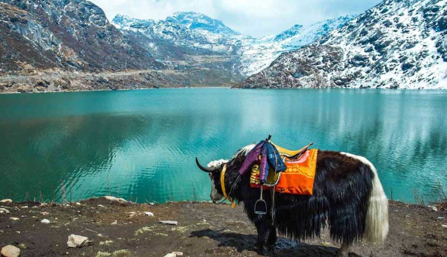 Why Is Northeast India Becoming a Top Travel Destination? | Helm Holidays