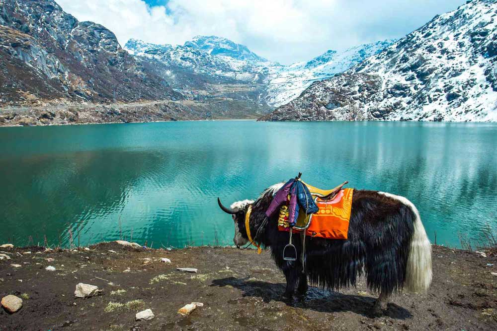 Why Is Northeast India Becoming a Top Travel Destination? | Helm Holidays