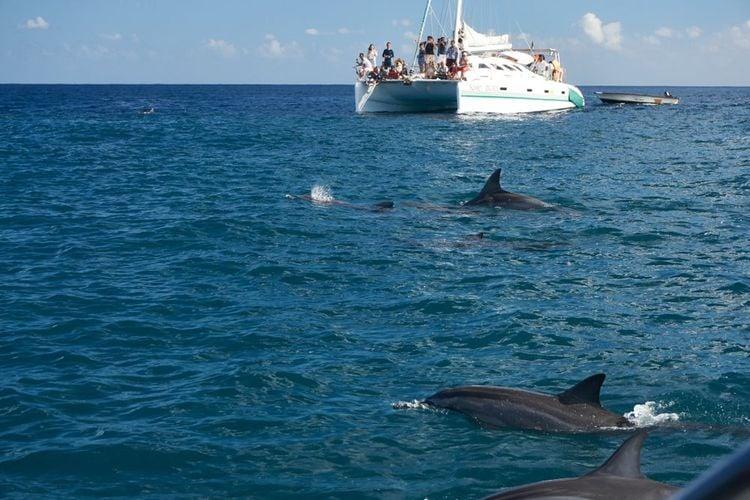 Day 3: Ile Aux Cerfs Island Excursion